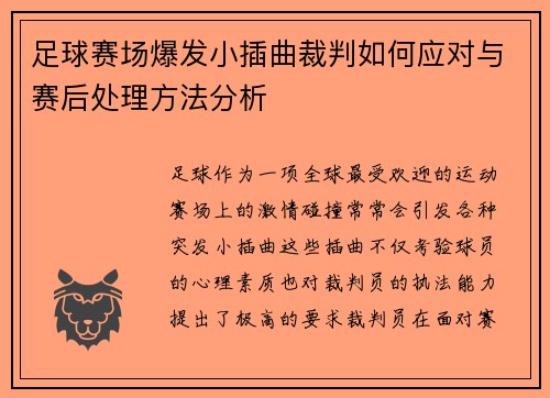 足球赛场爆发小插曲裁判如何应对与赛后处理方法分析