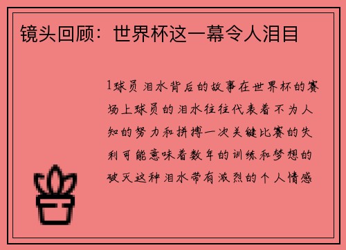 镜头回顾：世界杯这一幕令人泪目