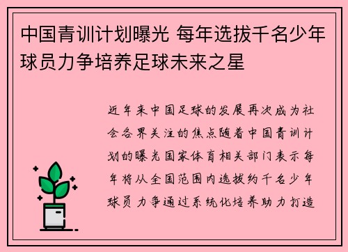 中国青训计划曝光 每年选拔千名少年球员力争培养足球未来之星